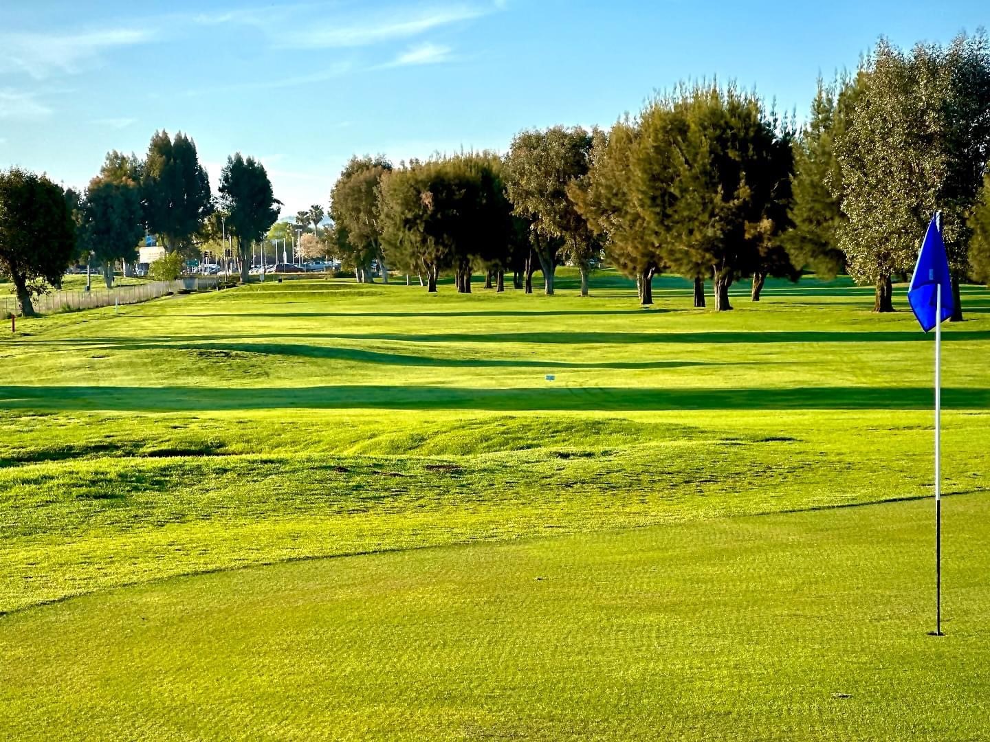 Image of golf ball on tee on grass.